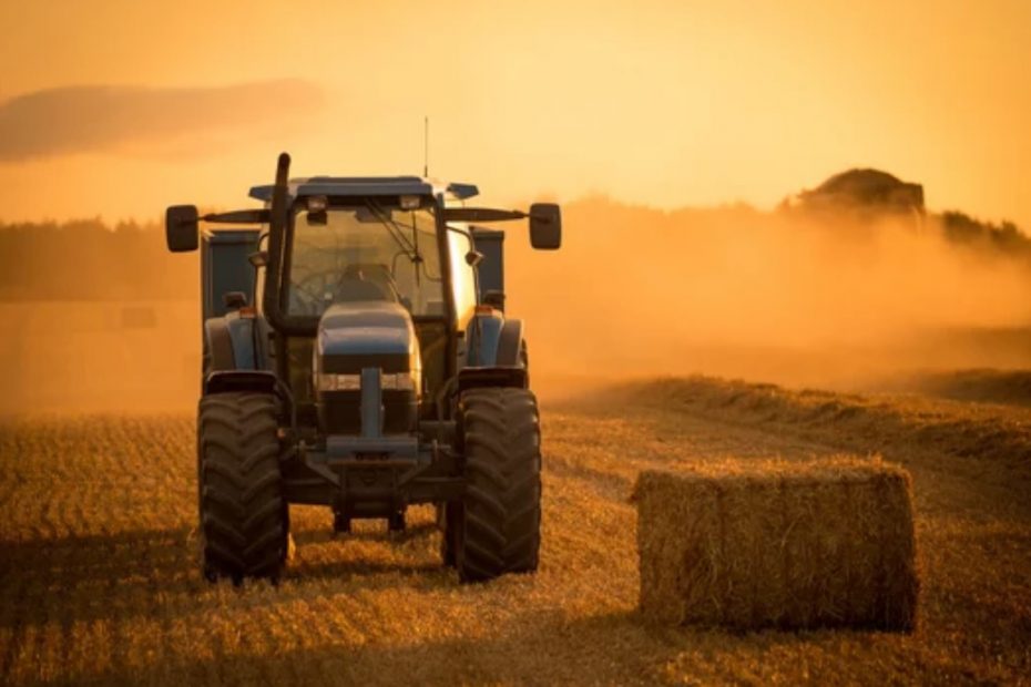 保加利亚2020年农业产量同比下降11%